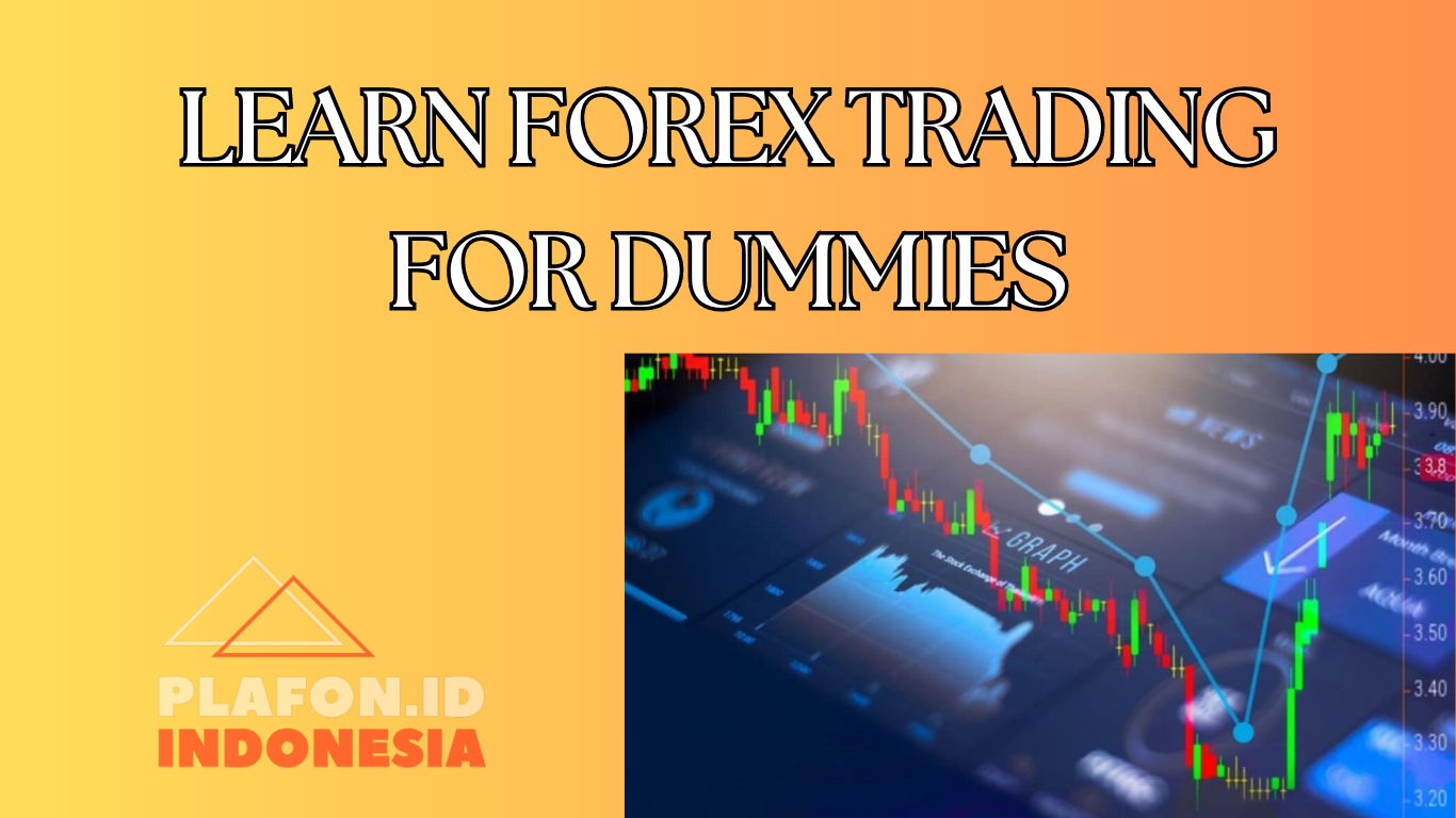 LEARN FOREX TRADING FOR DUMMIES