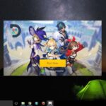 Download genshin impact pc